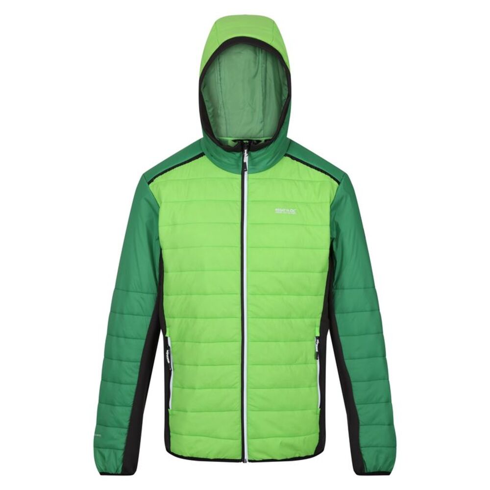 Regatta Mens Trutton II Baffled Padded Jacket / Jasmine Green/Field Green